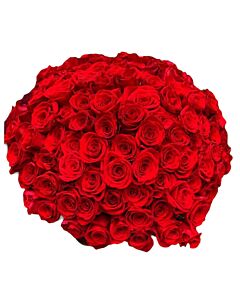 Maxi Buquê 120 Rosas Vermelhas 
